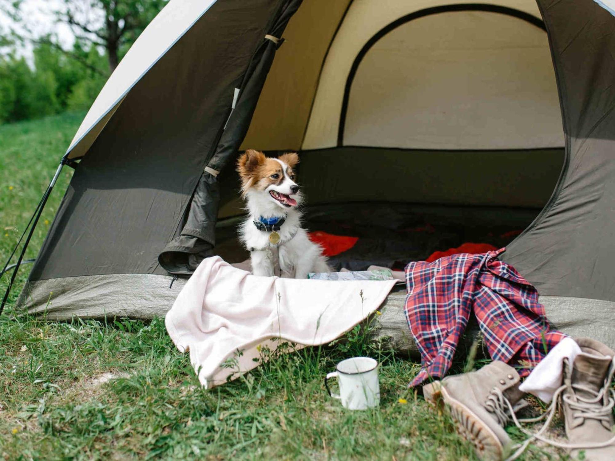 Solopuent Campsite